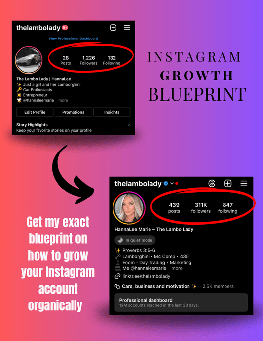 Instagram Growth Blueprint